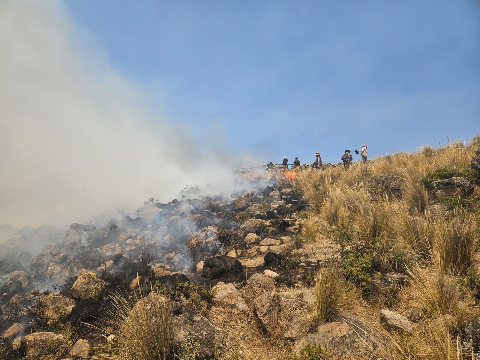 Liquidan incendio forestal ene l distrito de Toro, porvincia La Unión (Foto: Jonatan Álvaro)