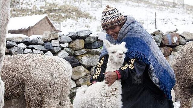 ​Solo ocho distritos en plan de heladas y friaje