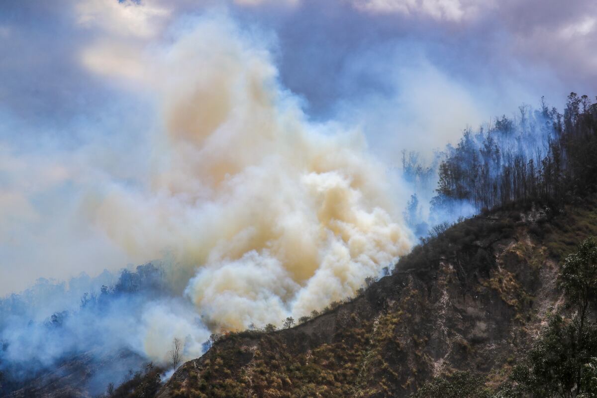 Se registran 17 incendios activos y 5 controlados en todo el territorio nacional, con las provincias de Azuay y Loja, en el sur del país, como las más afectadas. (Foto referencial EFE)