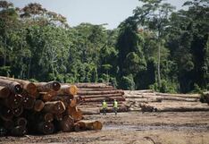Huánuco: Mujer es sentenciada por atentar contra bosques de forma grave