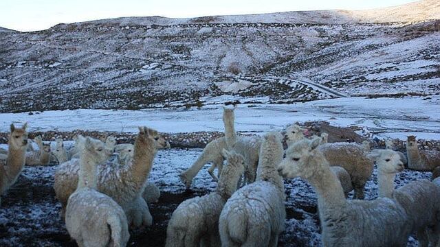 Senamhi advierte presencia de nevadas en la zona andina de Tacna y Moquegua