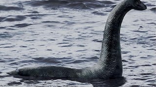 El monstruo del Lago Ness podría ser un simple pez gigante