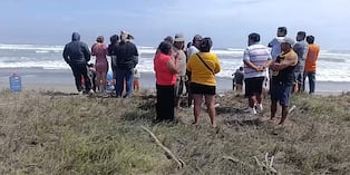 La víctima, identificada como Luis Portales García, se encontraba retirando su red cuando los animales se abalanzaron y lo destrozaron. Familiares exigen justicia.