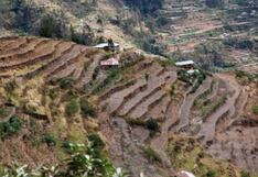 Andenes de Cuyocuyo gana Premio Ecuatorial 2025 por su aporte a la agrobiodiversidad