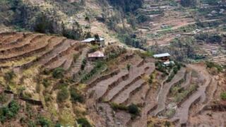 Andenes de Cuyocuyo gana Premio Ecuatorial 2025 por su aporte a la agrobiodiversidad