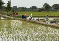 Piura: Agricultores respaldan cortes de agua desde Poechos