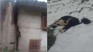 Chincha: más de 270 viviendas afectadas y caminos destruidos en San Pedro de Huacarpana