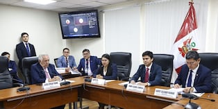 La Comisión de Ética Parlamentaria investigará a la diputada Milagros Santana. (Foto: Facebook Milagros Karina Santana Vera - Diputada Región Lima Provincias)