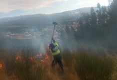 Junín: Incendios forestales no dan tregua y arrasan con vegetación