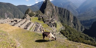 Conozca la nueva modalidad de venta de boletos para Machu Picchu y Camino Inca