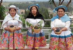 Junín: Guindas fortalecen la economía sin grandes inversiones en Tres de Diciembre