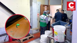 Detectan excretas de roedores en chifa del centro de Huancayo y aplican multa