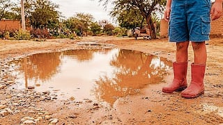 La Dirección Regional de Salud de Piura advierte que la variante de leptospira que circula es mortal