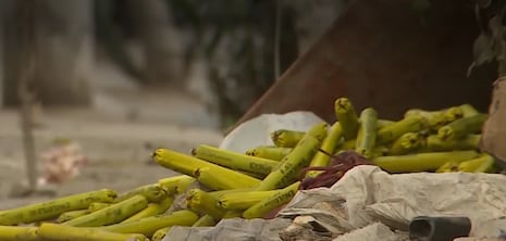 Hallan 50 cartuchos explosivos frente a colegio especial en Comas