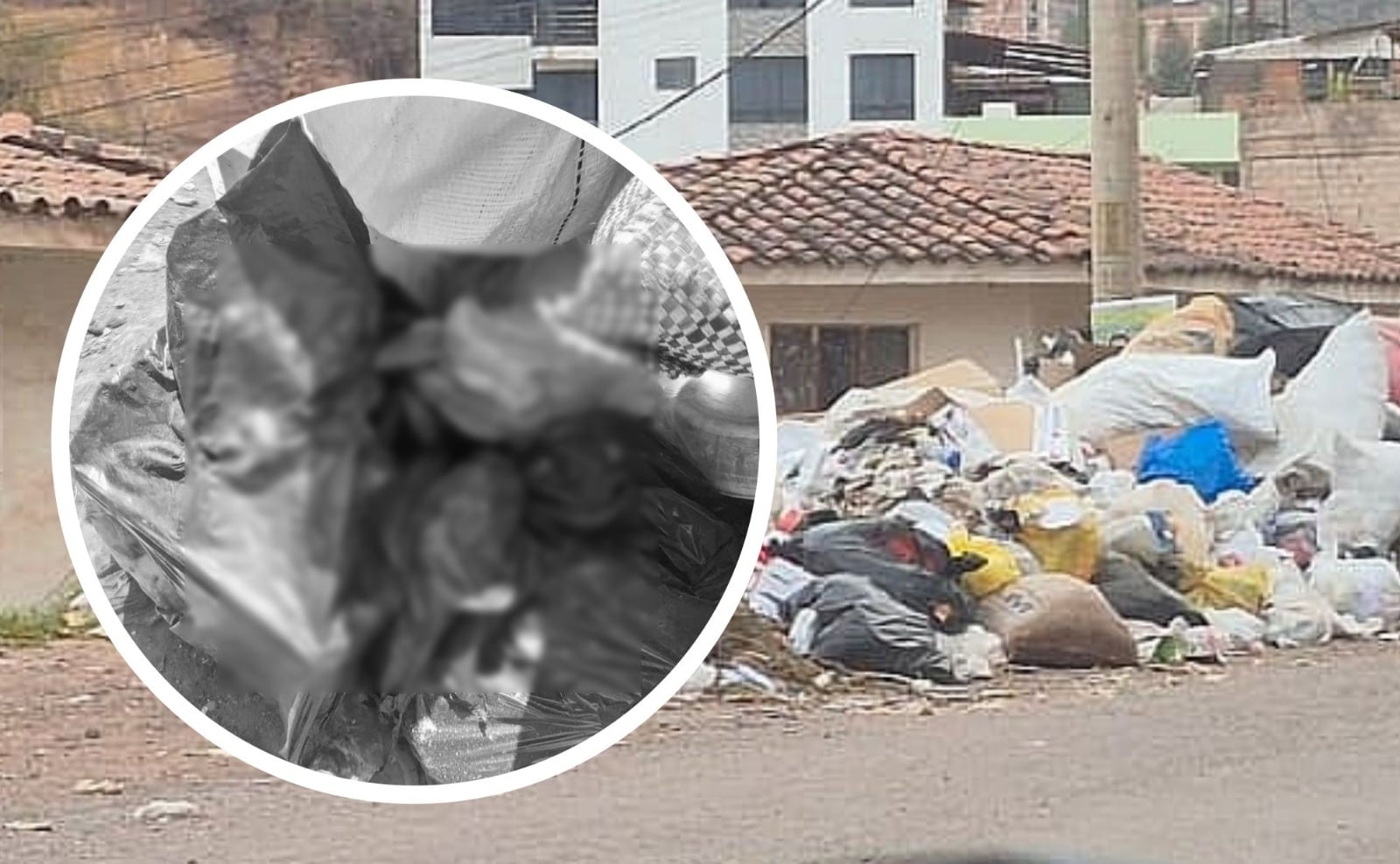 Denuncian hallazgo de decenas de cabezas de perro en basural de Cusco (VIDEO)