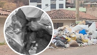 Denuncian hallazgo de decenas de cabezas de perro en basural de Cusco (VIDEO)