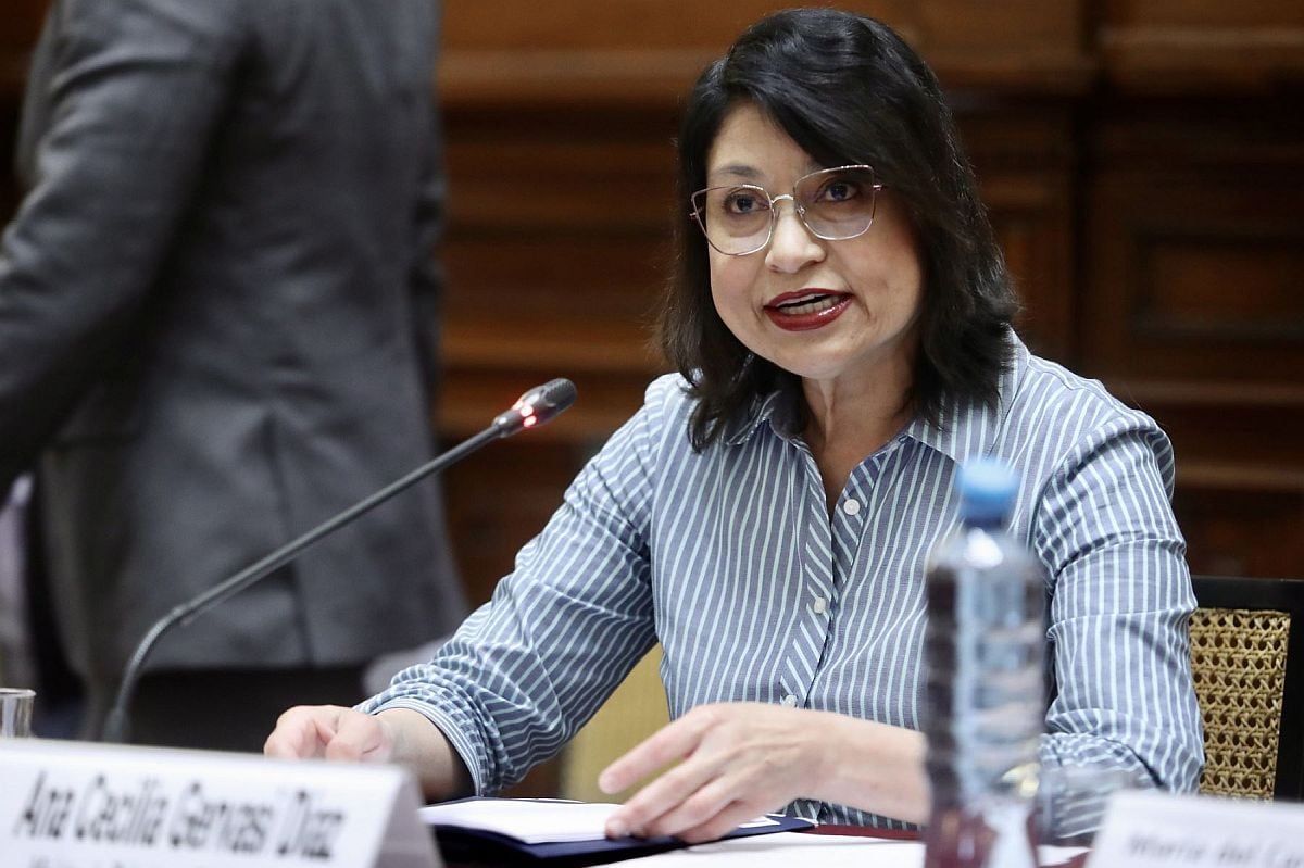 Ana Gervasi es nombrada como representante del Perú ante organismos internacionales con sede en Ginebra. (Foto: Andina)