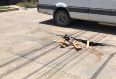 Ica: Emapica exigirá reparaciones a contratistas por daños en pistas de la ciudad