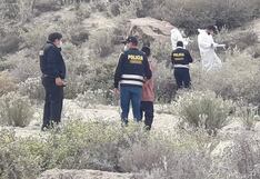 Arequipa: Perros devoran cuerpo de un anciano hallado muerto en Uchumayo