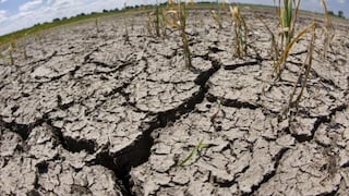 Sequía de cho meses afecta la economía de Haití