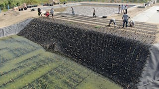 Piura: Ministerio de Vivienda implementa tecnología ecológica que purifica aguas residuales en Catacaos