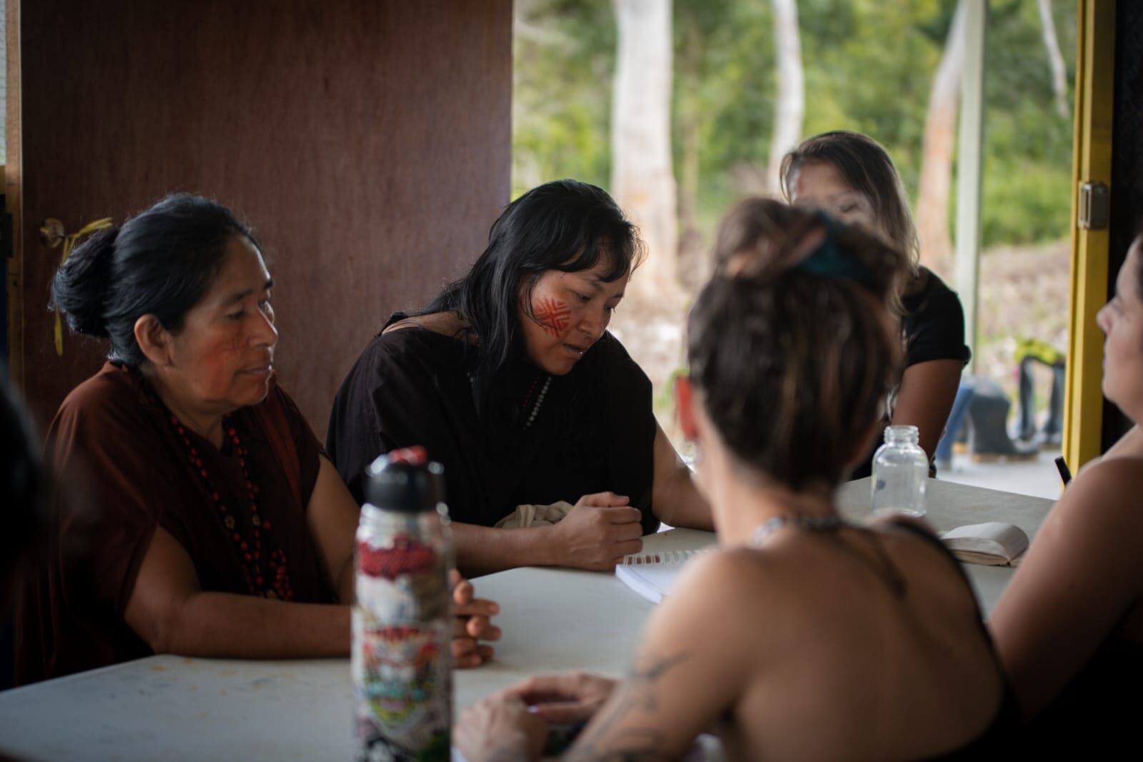 Ipanamu: Festival de Arte (SOS)tenible