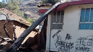 Caída de árbol en aula de inicial desata críticas al nuevo director regional de Educación de Huánuco