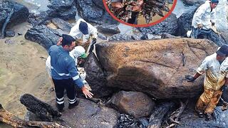 Viceministro de Pesca y Acuicultura supervisa limpieza en playas afectadas por derrame de petróleo