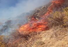 Chincha: incendio forestal arrasa con 80 hectáreas de pastizales y quema plantones de palta