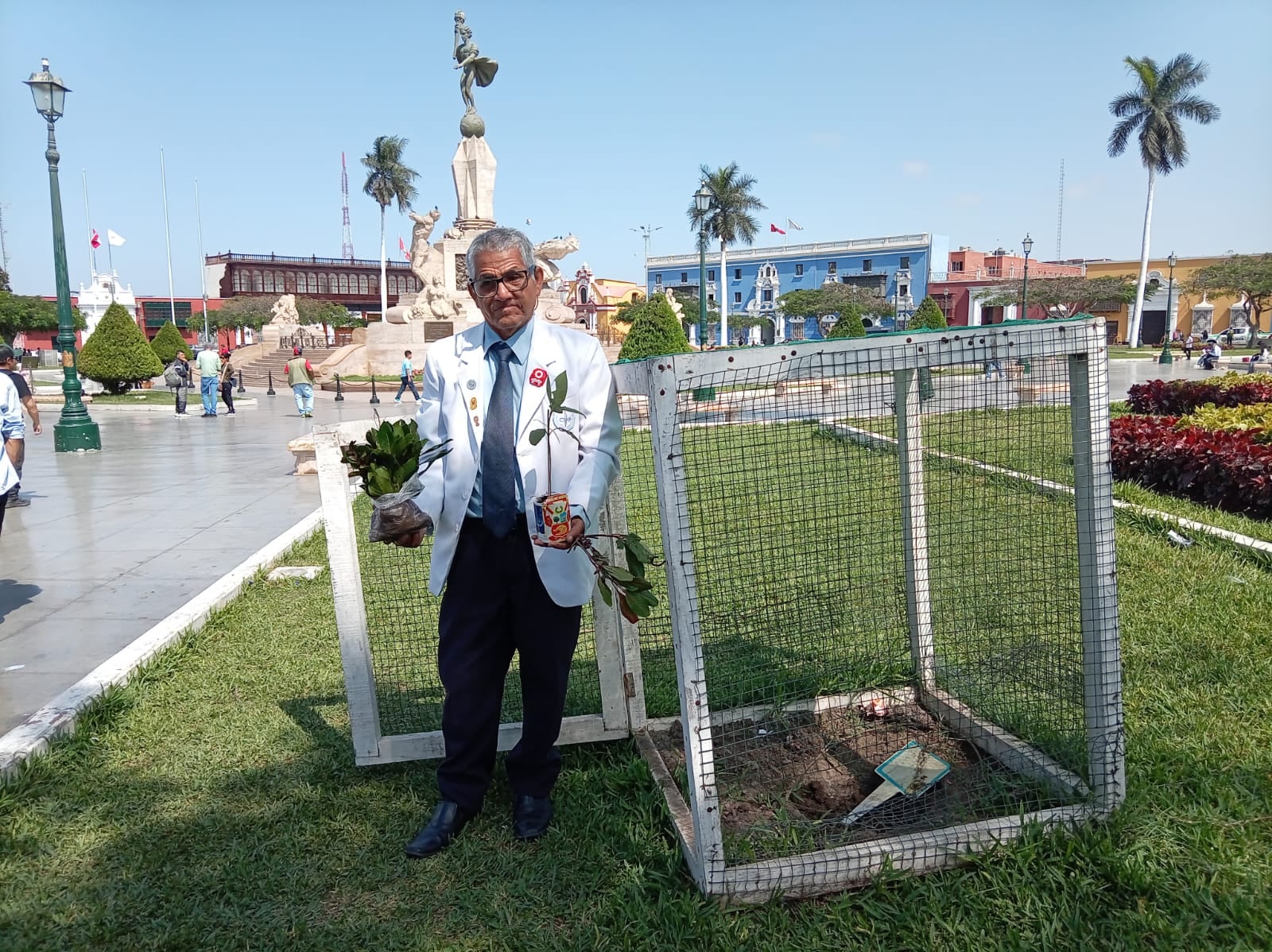 El proyecto busca posicionar a la ciudad como la única en el mundo con 10 ejemplares de esta especie símbolo del Escudo Nacional en la plaza de armas.