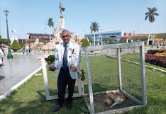 Trujillo tendrá 10 árboles de la quina en 2029