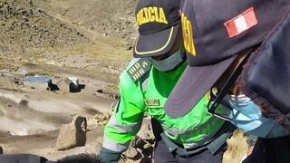 Arequipa: Puma ataca a poblador y queda con varios cortes