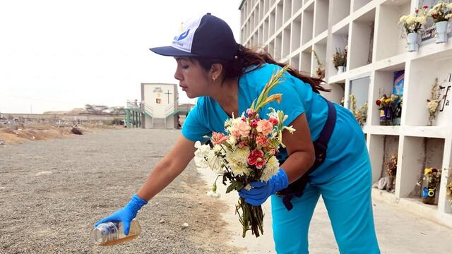 Lambayeque: Población continúa colocando agua en floreros pese a riesgos del dengue