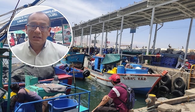 Ingeniero pesquero Omar Velásquez Chirinos afirma que efectos del NIño se agravarán. (Foto: Difusión)