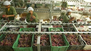 Ley de promoción agraria: laboralistas piden que se publique el reglamento para despejar dudas
