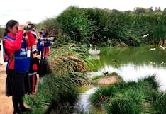 Tres días de esparcimiento en el Humedal Santa Julia en Piura