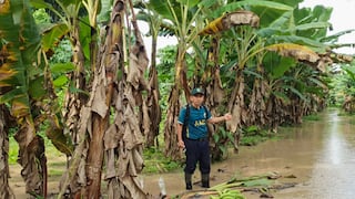Declaran en emergencia 157 distritos de 20 regiones del país por intensas lluvias