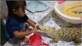 Padres causan indignación al dejar que su niña "cepille" los dientes a un cocodrilo (VIDEO)