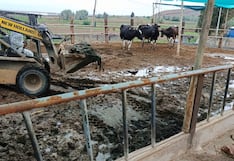 Tacna:Autoridades exigen que Ite sea declarada en emergencia nivel 2