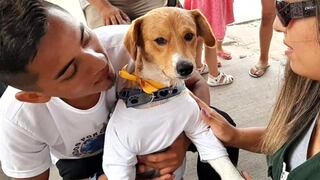 Lester, el perro que fue salvado por niño en VES, le dio el último adiós a su héroe