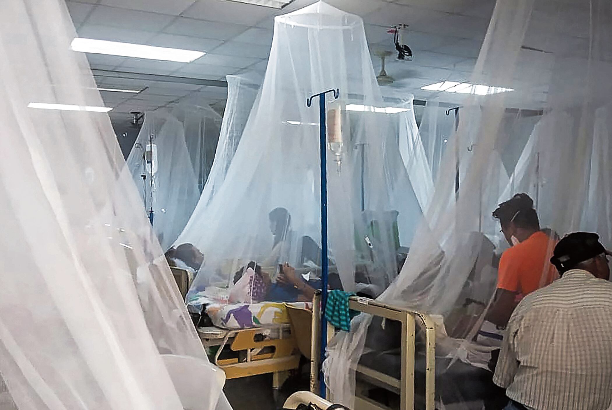 Atentos en salud ante posibles casos de dengue por el calor. Foto: Photo by STR / AFP.
