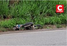Pichanaqui: Analista pierde la vida al despistar su moto en carretera