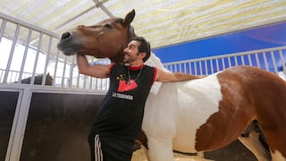 Mira el espectáculo que darán los caballos artistas del circo La Tarumba en Arequipa (FOTOS Y VIDEO)