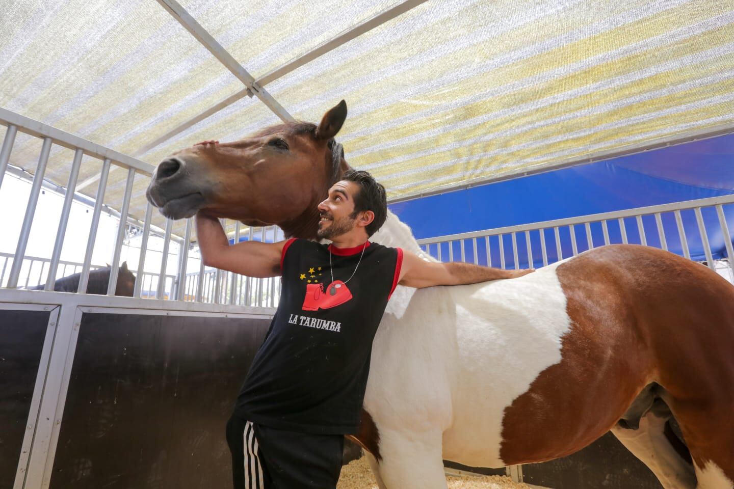 La elegancia y destreza de los caballos artistas en La Tarumba. (Foto: Leonardo Cuito)