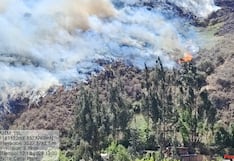 Confirman que fuerte incendio forestal llegó a sitio arqueológico en Cusco