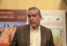 Produce: Aumentan en 60 % las ventas digitales de mypes