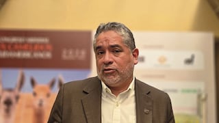 Ventas digitales de emprendedores crecieron 60 % durante campañas cyber, informa Produce