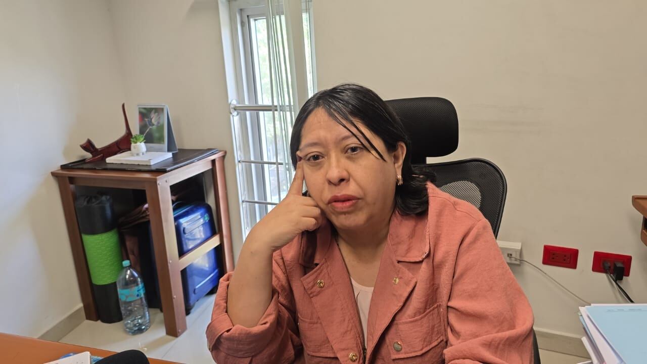 Fiscal provincial de la Primera Fiscalía de Prevención del Delito, Ana Cecilia Cordero. (Foto: Omar Cruz/@photo.gec)