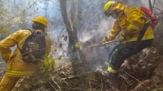 Cusco: Interrumpen tren a Machu Picchu por incendio forestal