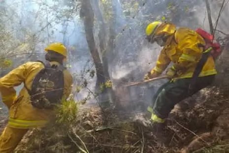 Cusco: Interrumpen tren a Machu Picchu por incendio forestal